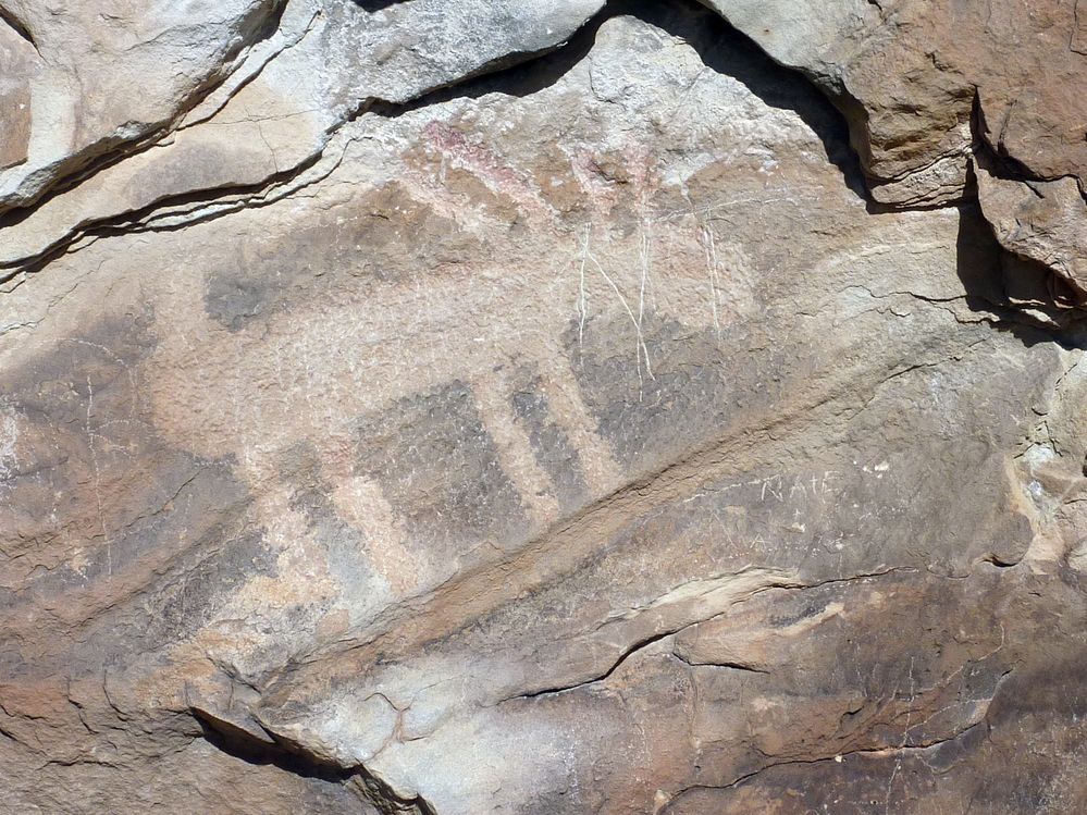 Dinosaur national park (9).JPG